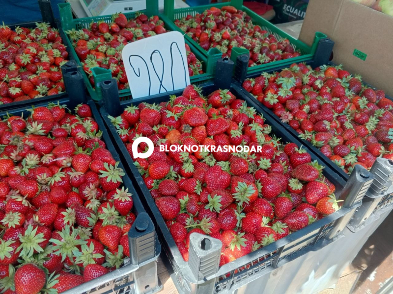 Арбузы за 60, малина за 550: чем торгуют летом на ярмарке в ГМР