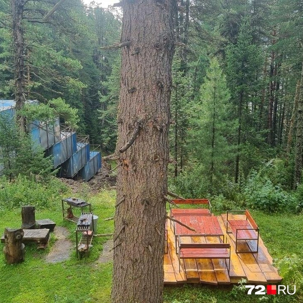 «Чем дальше, тем сложнее с бензином»: компания друзей рванула на Алтай на машинах в разгар топливного кризиса