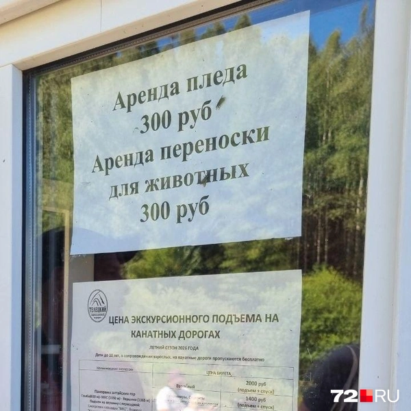 «Чем дальше, тем сложнее с бензином»: компания друзей рванула на Алтай на машинах в разгар топливного кризиса