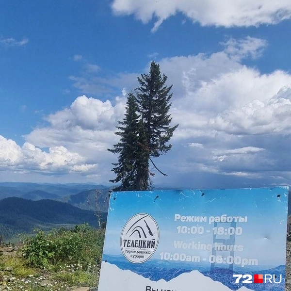 «Чем дальше, тем сложнее с бензином»: компания друзей рванула на Алтай на машинах в разгар топливного кризиса