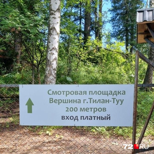 «Чем дальше, тем сложнее с бензином»: компания друзей рванула на Алтай на машинах в разгар топливного кризиса