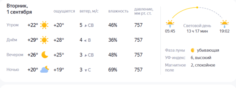 Легкий ветер и до +30: какая погода будет на День знаний в Краснодаре