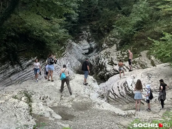 Мертвый самшит и пересохшая река в каньоне Сочи ехать ли в августе