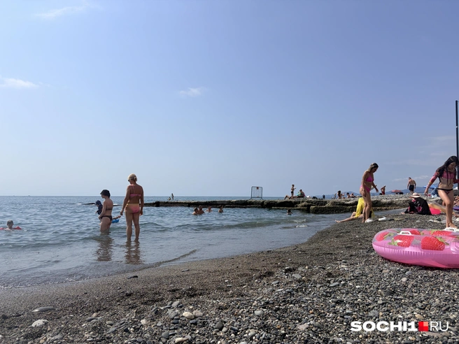 «Вода — парное молоко». Что происходит на пляжах Сочи в первые дни августа