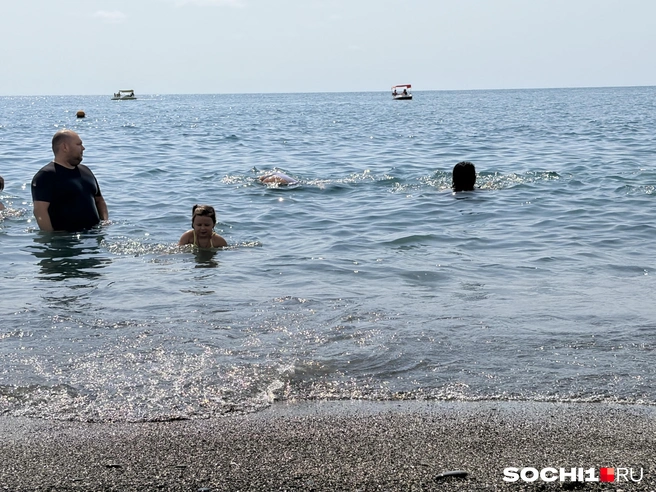«Вода — парное молоко». Что происходит на пляжах Сочи в первые дни августа